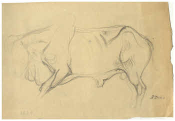 Visualizza l'immagine "FD D 421"